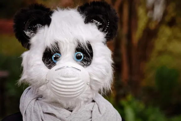 BitReels Kasino Sokongan